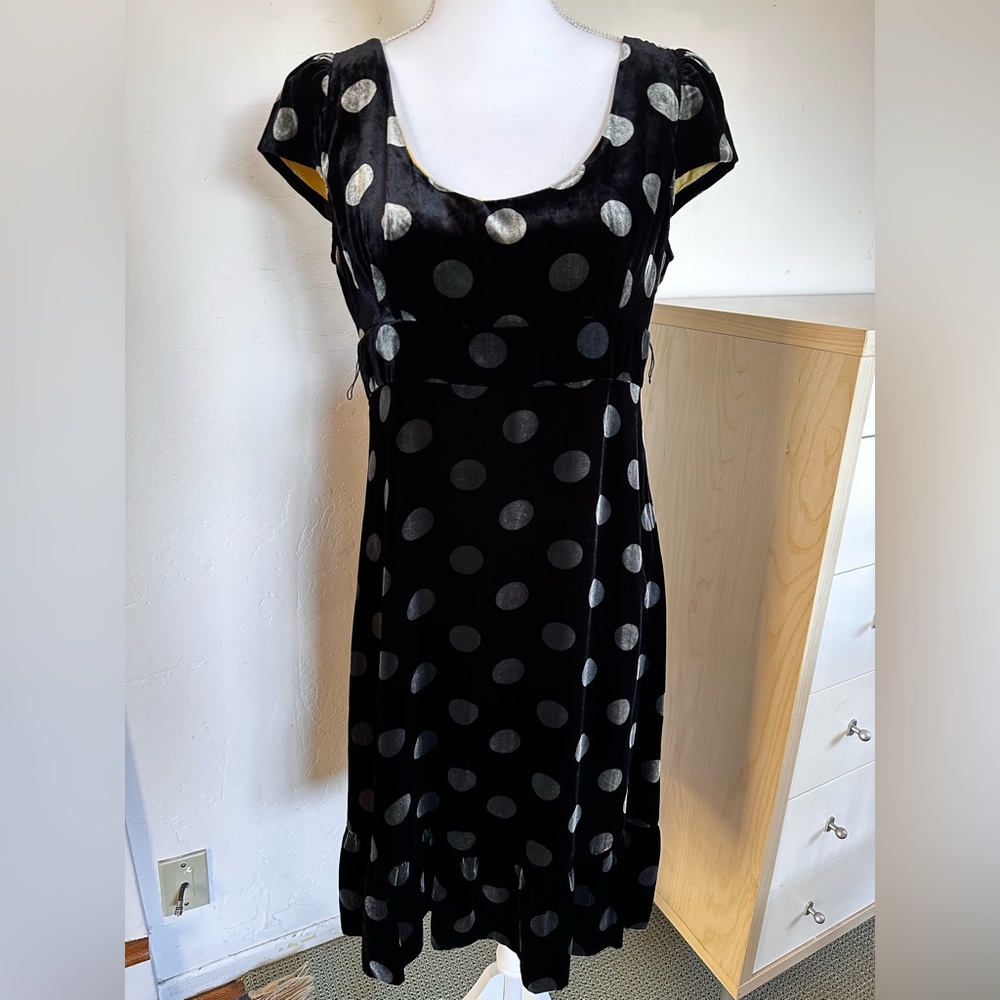 Classic Spotlight Dress Anthropologie